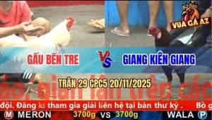 Trận 29 CPC5 20/11/2025 - Que Tịch Vôi Làm Thịt Úa Hiệu Anh Gấu