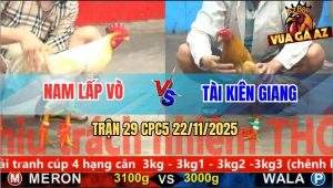 Trận 29 CPC5 22/11/2025 - Vàng Tàu Anh Tài Kiên Giang Đâm Cựa Quá Tịch