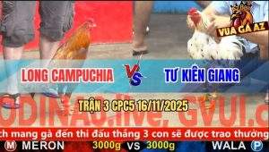 Trận 3 CPC5 16/11/2025 - Anh Long Campuchia Và Anh Tư Kiên Giang