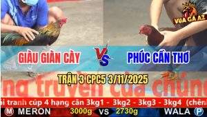 Trận 3 CPC5 3/11/2025 - Anh Quốc Giàn Cày Và Anh Phúc Cần Thơ