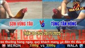 Trận 30 CPC5 20/11/2025 - Anh Sơn Vũng Tàu Bị Phản Ăn 2 Đưa Biện Đi Xa