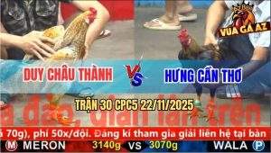 Trận 30 CPC5 22/11/2025 - Gà Chuối Hôm Nay Đem Đi Cúng Cả Bầy