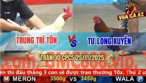 Trận 30 CPC5 25/11/2025 - Anh Trung Trí Tôn Và Anh Tư Long Xuyên