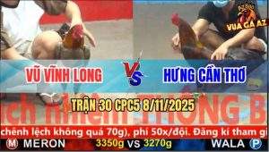 Trận 30 CPC5 8/11/2025 - Anh Vũ Vĩnh Long Và Anh Hưng Cần Thơ