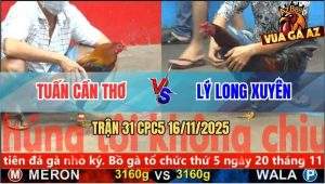 Trận 31 CPC5 16/11/2025 - Anh Tuấn Cần Thơ Và Anh Lý Long Xuyên