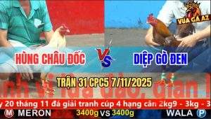Trận 31 CPC5 7/11/2025 - Anh Hùng Châu Đốc Và Anh Diệp Gò Đen