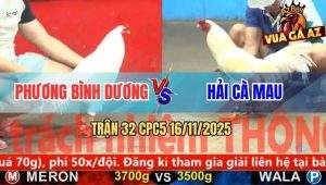 Trận 32 CPC5 16/11/2025 - Anh Phương Bình Dương Và Anh Hải Cà Mau