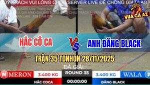 Trận 35 TonHon 28/11/2025 - Anh Hắc Cô Ca Gặp Anh Đăng Black
