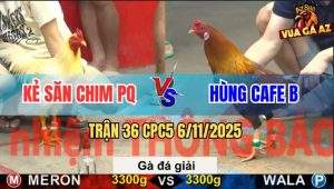 Trận 36 CPC5 6/11/2025 - Chung Kết Giữa Kẻ Săn Chim Và Anh Hùng Cafe B
