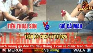 Trận 36 CPC5 7/11/2025 - Anh Tiến Thoại Sơn Và Anh Gió Cà Mau