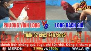 Trận 37 CPC5 7/11/2025 - Anh Phương Vĩnh Long Và Anh Long Rạch Giá