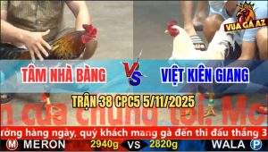 Trận 38 CPC5 5/11/2025 - Anh Tâm Nhà Bàng Và Anh Việt Kiên Giang