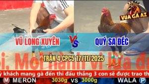 Trận 4 CPC5 17/11/2025 - Gà Khét Anh Quý Canh Chặn Hay Đỏ Vô Không Nổi