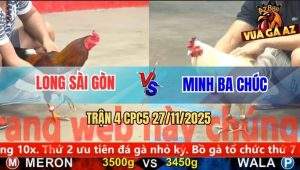 Trận 4 CPC5 27/11/2025 - Điều Cọp Anh Long Đóng Đinh Bướm Té Tại Chỗ