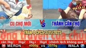 Trận 4 CPC5 3/11/2025 - Anh Cu Chợ Mới Và Anh Thành Cần Thơ