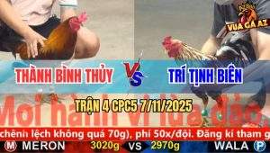 Trận 4 CPC5 7/11/2025 - Anh Thành Bình Thủy Và Anh Trí Tịnh Biên