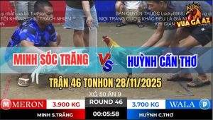 Trận 46 TonHon 28/11/2025 - Anh Minh Và Anh Huỳnh, Ngang Tài Ngang Sức