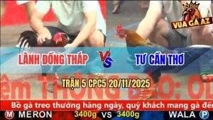Trận 5 CPC5 20/11/2025 - Que Nghệ Đâm Điều Ra Si Rô La Miệng Chạy