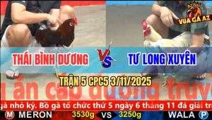 Trận 5 CPC5 3/11/2025 - Anh Thái Bình Dương Và Anh Tư Long Xuyên