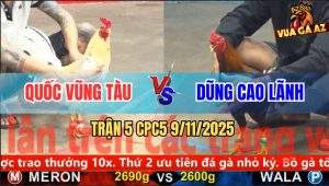 Trận 5 CPC5 9/11/2025 - Anh Quốc Vũng Tàu Và Anh Dũng Cao Lãnh