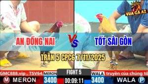Trận 5 CPC6 7/11/2025 - Cú Vàng Đâm Gà Điều Ói Đen Đầu Bung Chạy