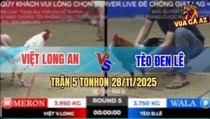 Trận 5 TonHon 28/11/2025 - Bướm Có Chân Xạo Lờ Hạ Điều Cọp Tèo Đen Lê