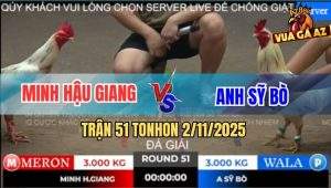 Trận 51 TonHon 2/11/2025 - Anh Minh Hậu Giang Gặp Anh Sỹ Bò