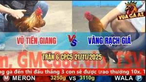 Trận 6 CPC5 21/11/2025 - Điều Đá Ngay Ông Địa Tiễn Gà Cú Đi Đoạn Cuối