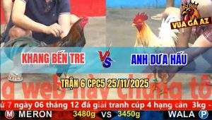 Trận 6 CPC5 25/11/2025 - Điều Đá Cây Cần Bướm Anh Dưa Hấu Tắt Điện