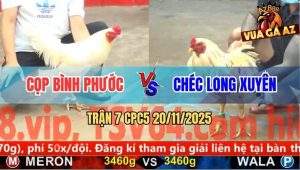 Trận 7 CPC5 20/11/2025 - Bướm Anh Chéc Xin Úa Anh Cọp Cặp Giò