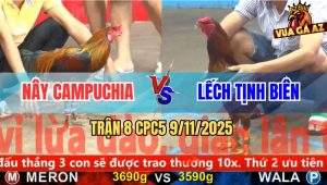 Trận 8 CPC5 9/11/2025 - Anh Nây Campuchia Và Anh Lếch Tịnh Biên