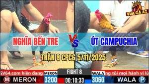 Trận 8 CPC6 5/11/2025 - Điều Đâm Gà Khét Campuchia Nhấc Chân Không Nổi