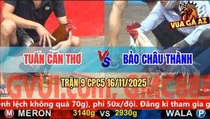 Trận 9 CPC5 16/11/2025 - Anh Tuấn Cần Thơ Và Anh Bảo Châu Thành
