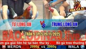 Trận 9 CPC5 19/11/2025 - Úa Hiệu Anh Trung Long An Tải Cựa Quá Tốt