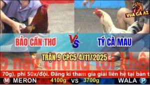 Trận 9 CPC5 4/11/2025 - Anh Bảo Cần Thơ Và Anh Tý Cà Mau
