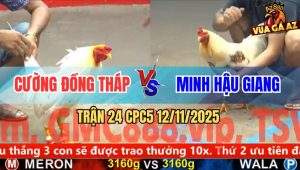 Trận 24 CPC5 12/11/2025