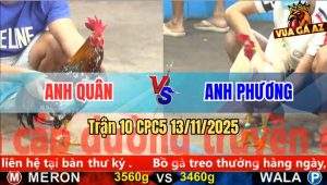 Trận 10 CPC5 13/11/2025
