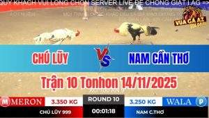 Trận 10 Tonhon 14/11/2025