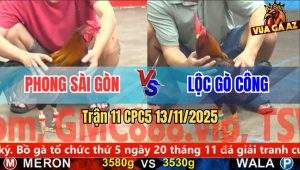 Trận 11 CPC5 13/11/2025