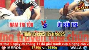 Trận 13 CPC5 12/11/2025