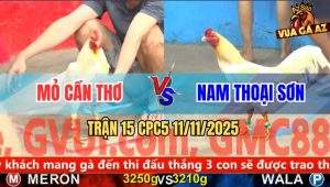 Trận 15 CPC5 11/11/2025