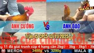 Trận 15 CPC5 13/11/2025