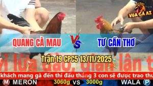 Trận 19 CPC5 13/11/2025