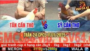 Trận 24 CPC5 11/11/2025