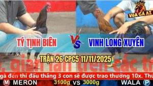 Trận 26 CPC5 11/11/2025