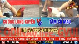 Trận 26 CPC5 13/11/2025