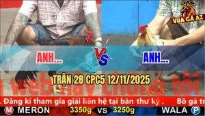 Trận 28 CPC5 12/11/2025