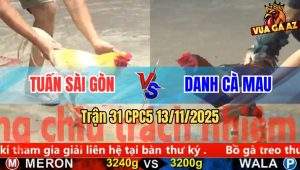 Trận 31 CPC5 13/11/2025