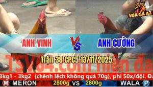 Trận 38 CPC5 13/11/2025