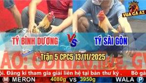 Trận 5 CPC5 13/11/2025